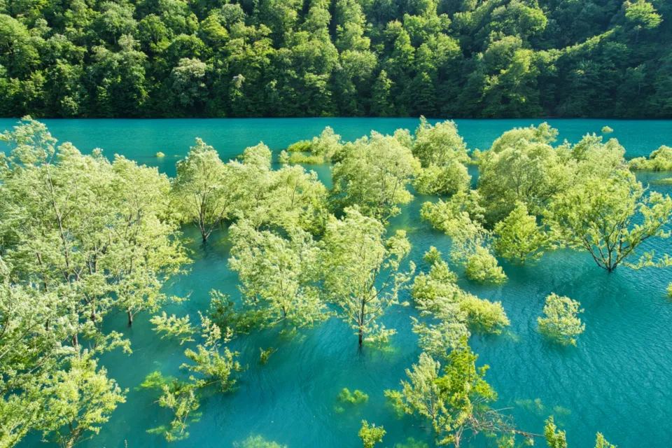 秋扇湖