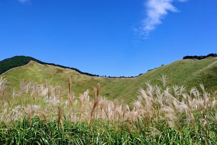 曽爾高原