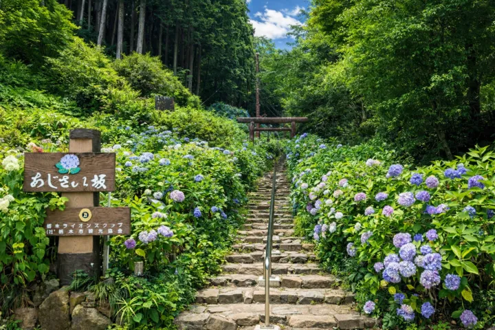 太平山県立自然公園