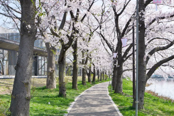 高田城址公園