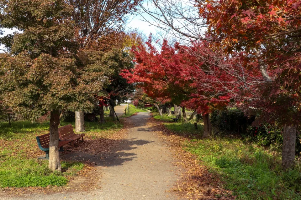 竜田公園