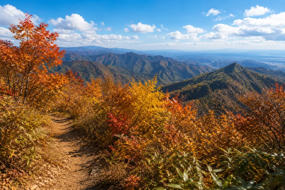 天元台高原 ロープウェイ
