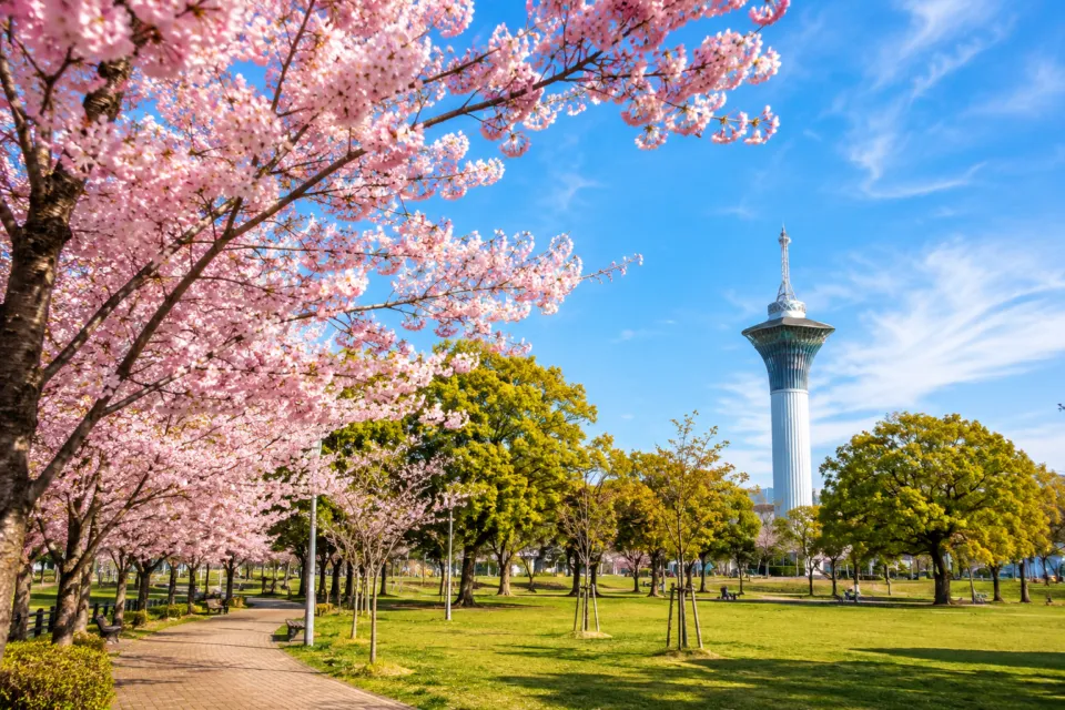 花博記念公園 鶴見緑地