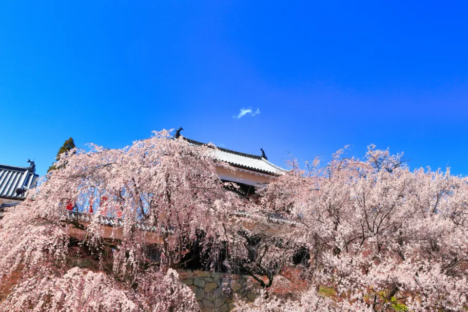 上田城