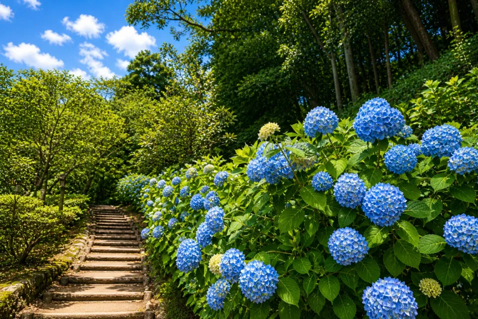 卯辰山公園