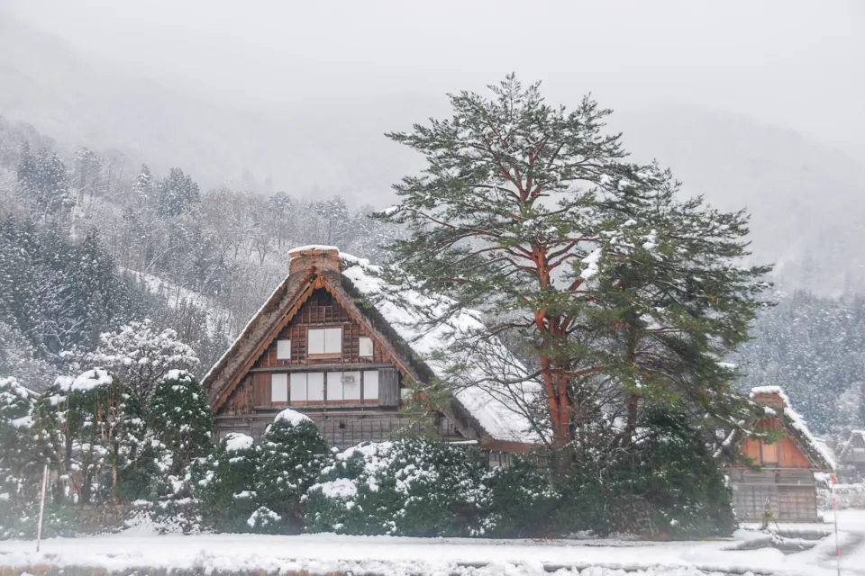 和田家住宅