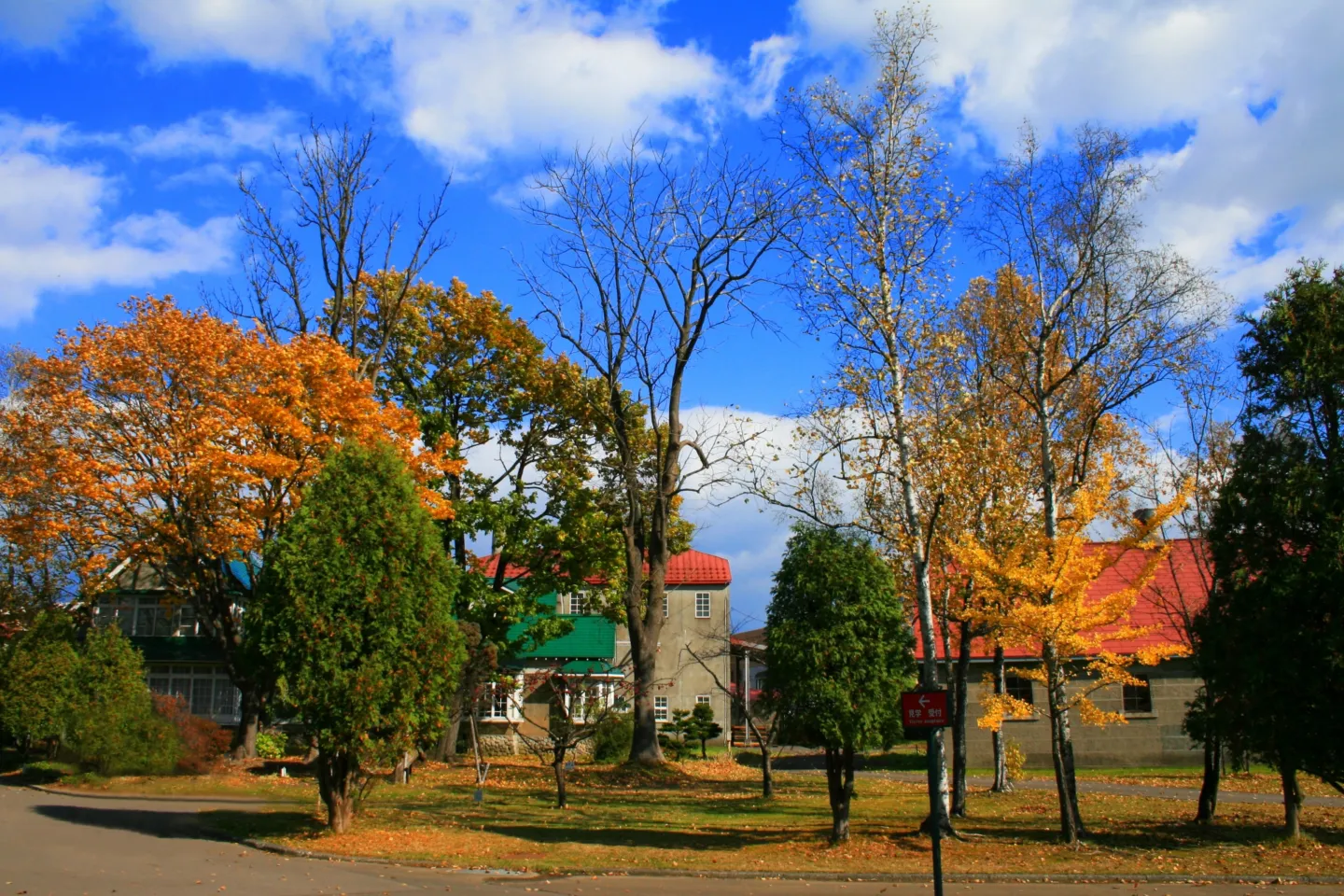 余市蒸溜所