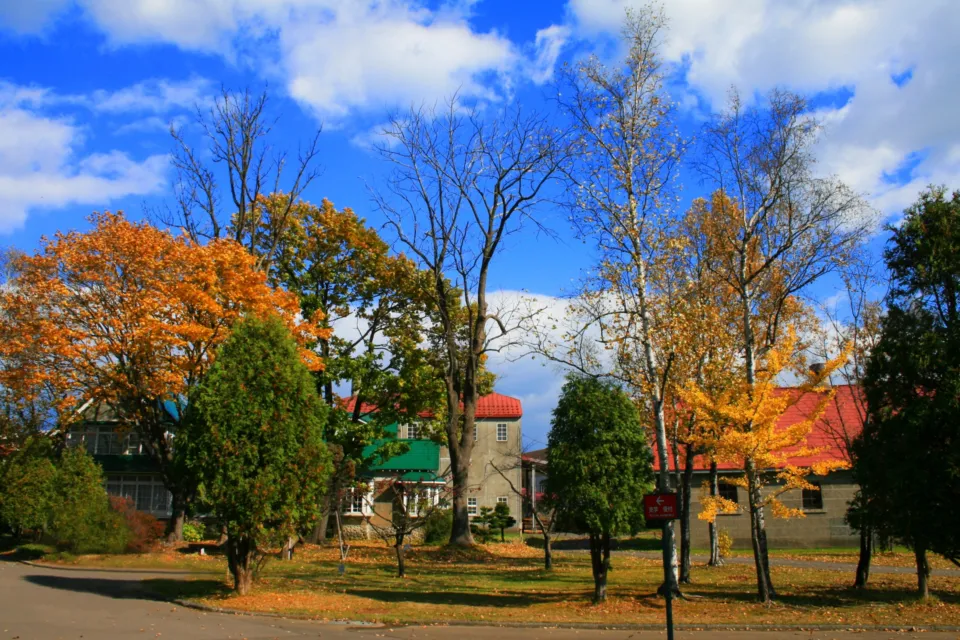 余市蒸溜所