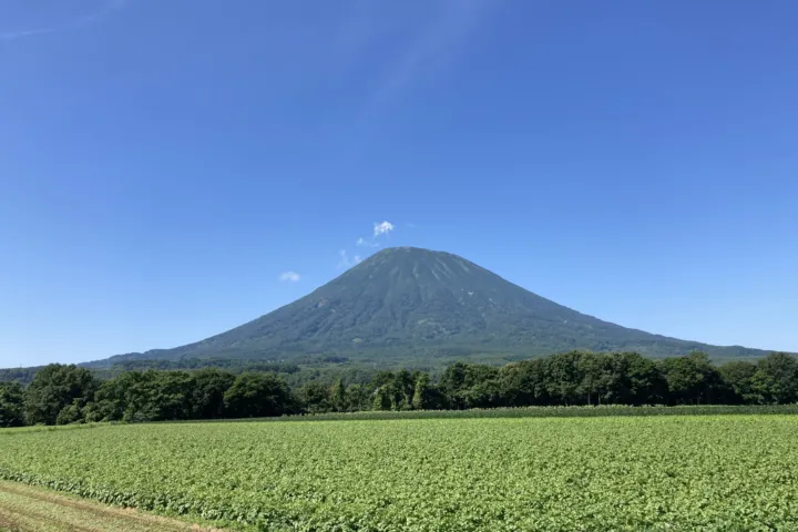 羊蹄山