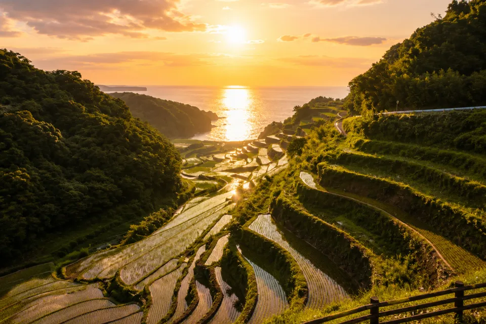 浜野浦の棚田展望台
