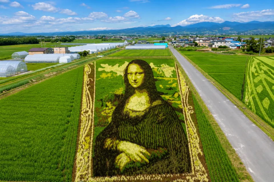 田舎館村田んぼアート