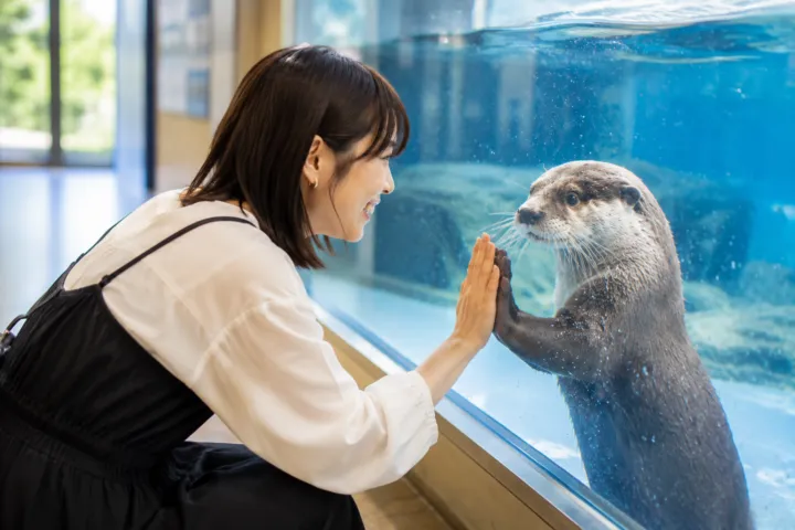 伊勢シーパラダイス