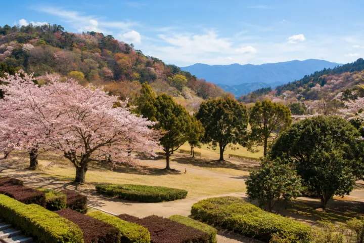 徳島県立神山森林公園イルローザの森