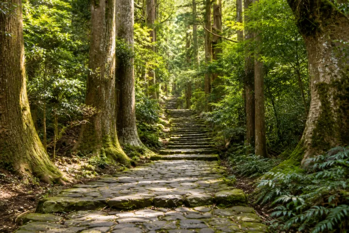 熊野古道 大門坂