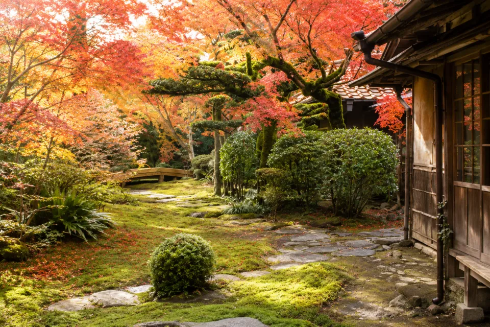 九年庵