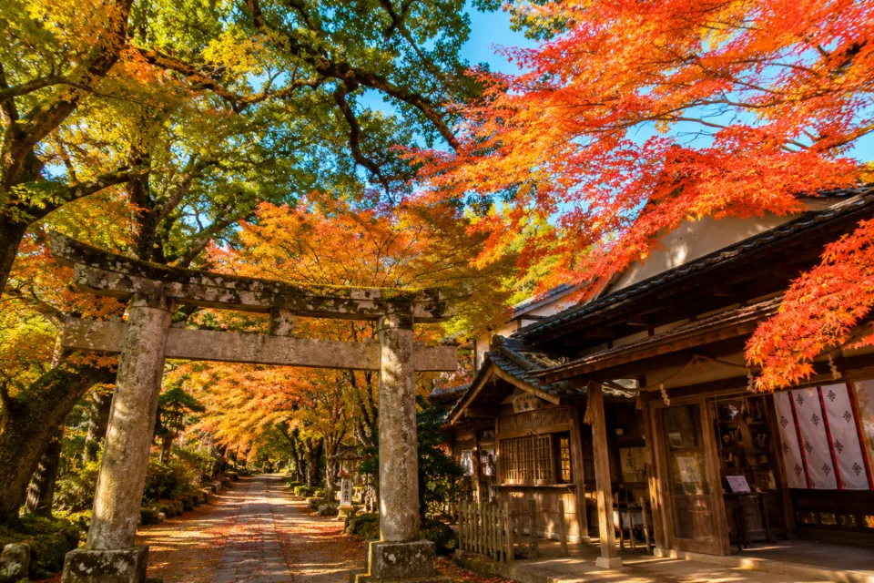 九年庵
