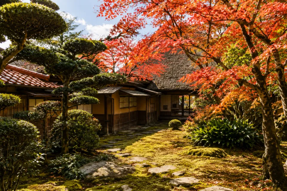 九年庵