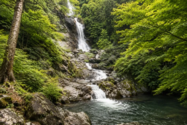 見帰りの滝