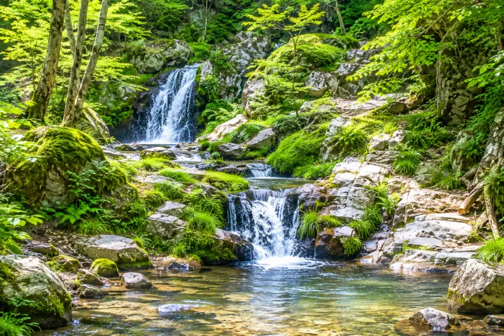 岡山県立森林公園