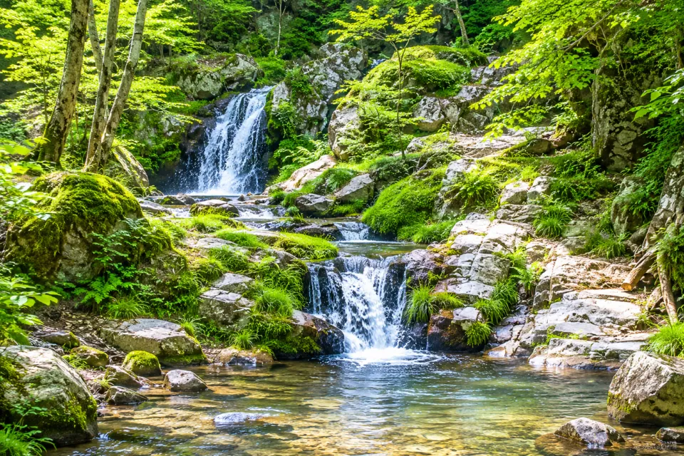 岡山県立森林公園