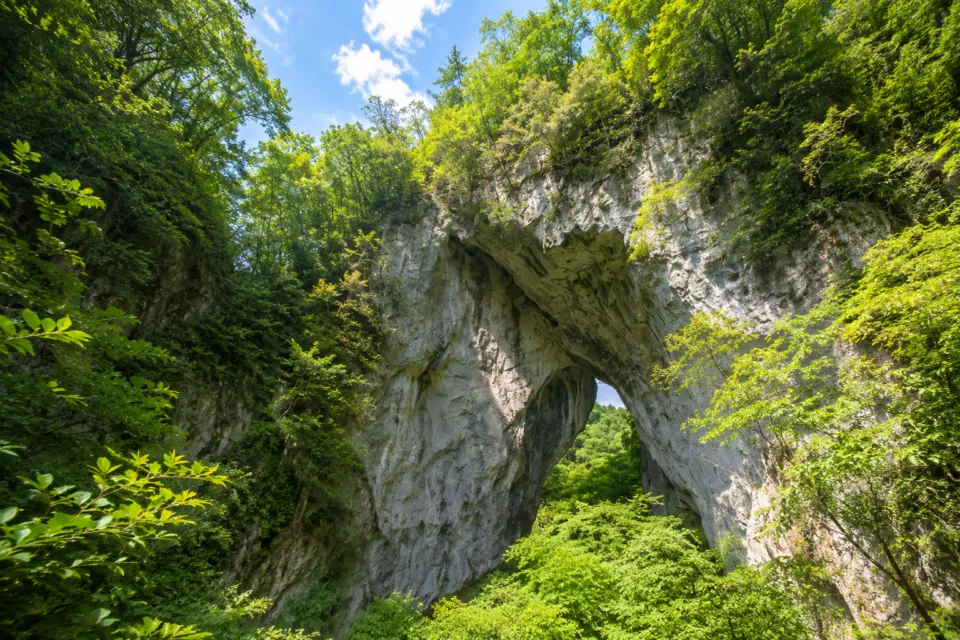 羅生門（岡山県）