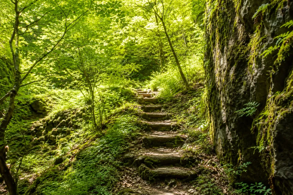 羅生門(岡山県)