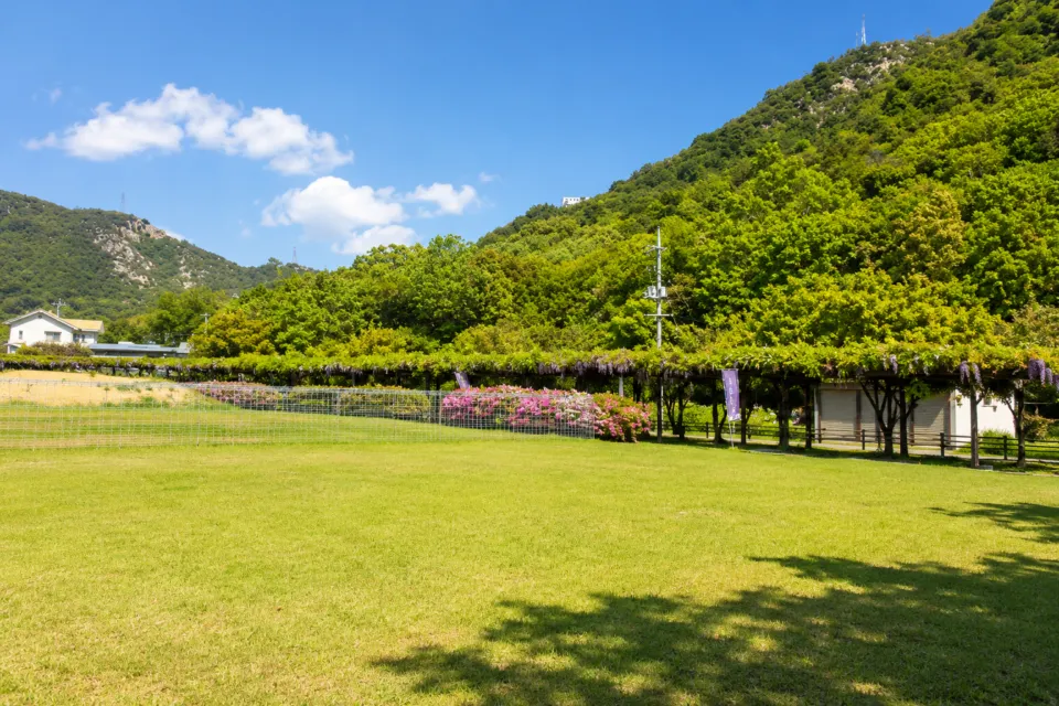 渋川公園