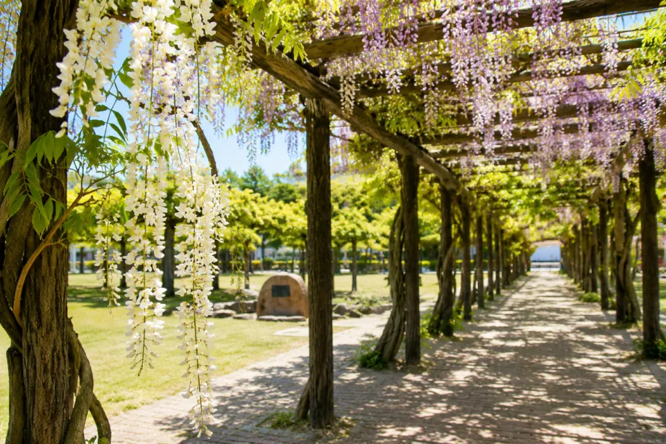 渋川公園