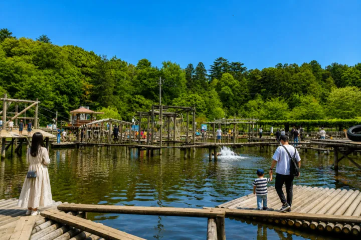 清水公園