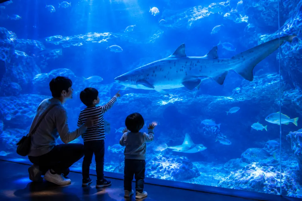 すみだ水族館