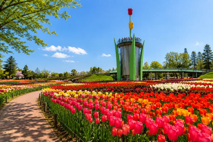 砺波チューリップ公園