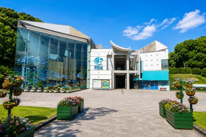 九十九島水族館海きらら