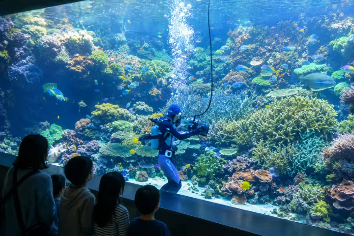 大分マリーンパレス水族館「うみたまご」