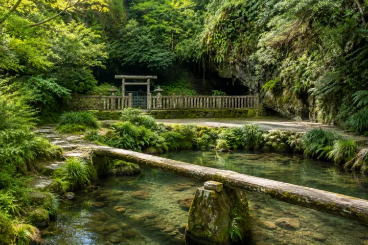 吾平山上稜