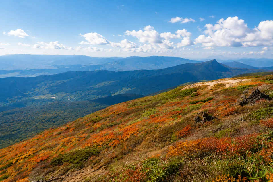 秋田駒ヶ岳