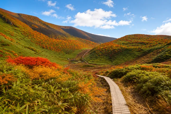 秋田駒ヶ岳
