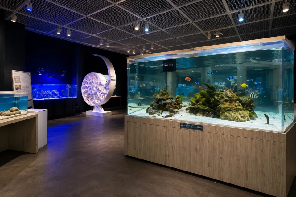奄美海洋展示館