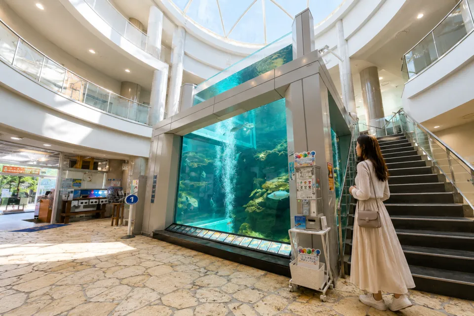 奄美海洋展示館