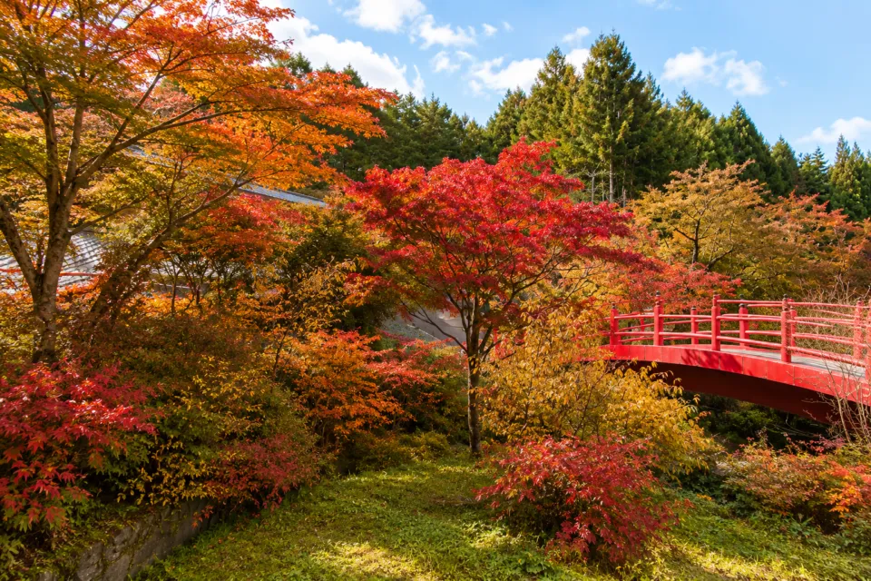 長者屋敷公園