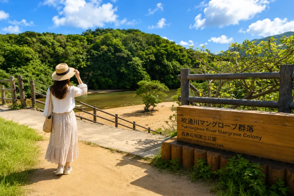 吹通川のマングローブ林