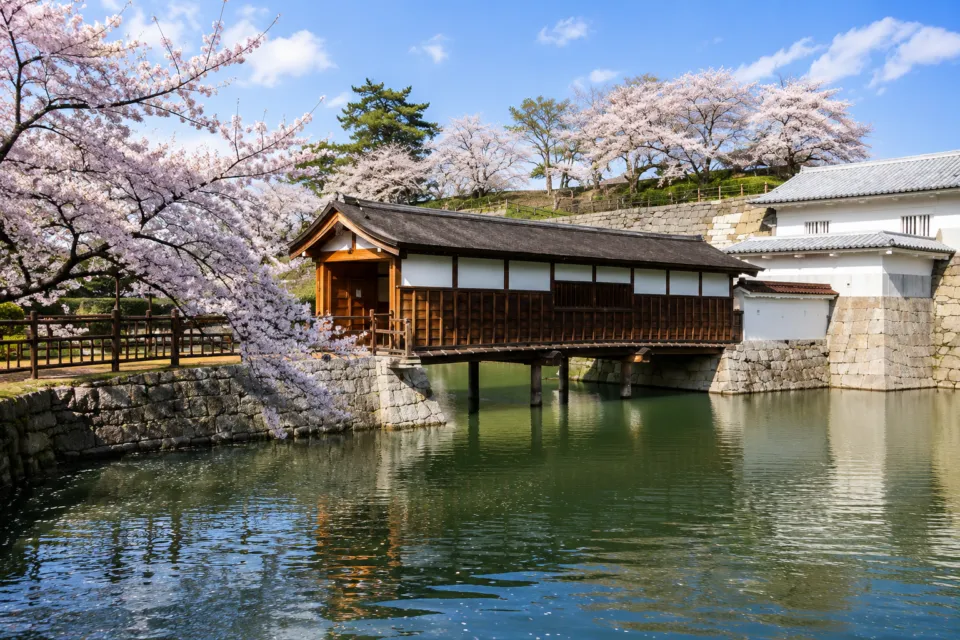 福井城跡