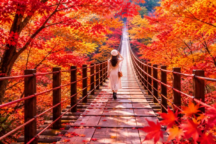 花貫渓谷