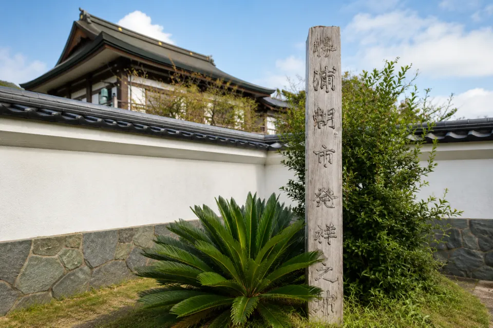 勝浦朝市