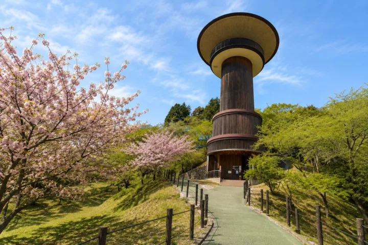 きのこの森