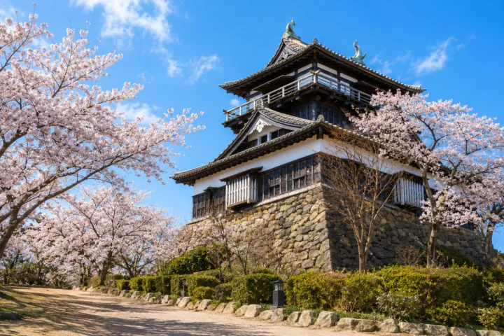 丸岡城