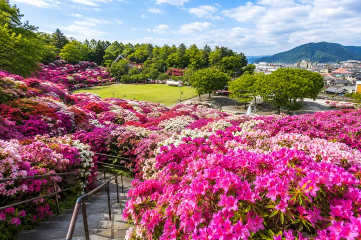 西山公園（福井県）