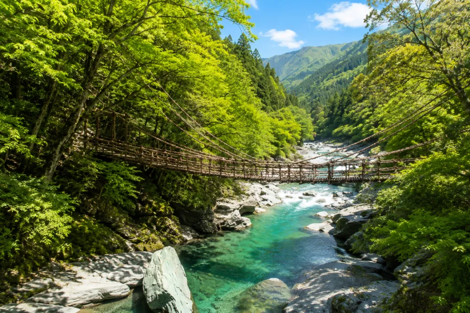 奥祖谷二重かずら橋