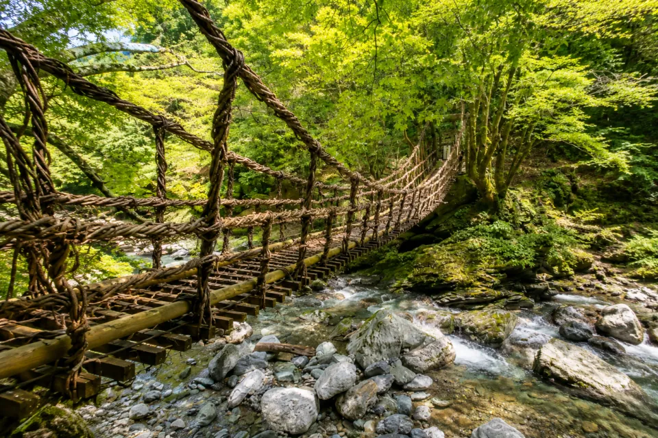 奥祖谷二重かずら橋