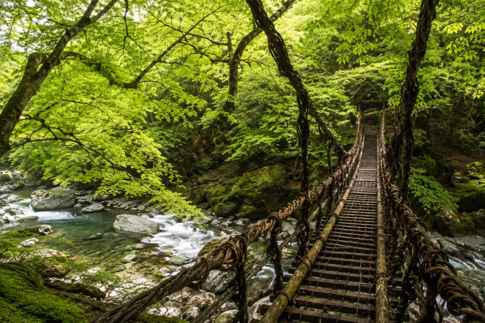 奥祖谷二重かずら橋