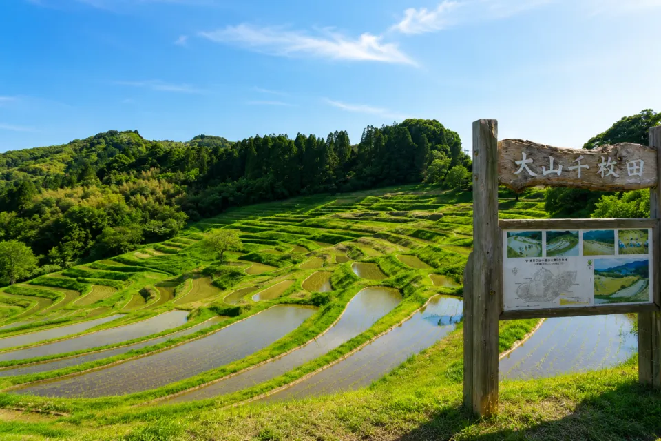 大山千枚田